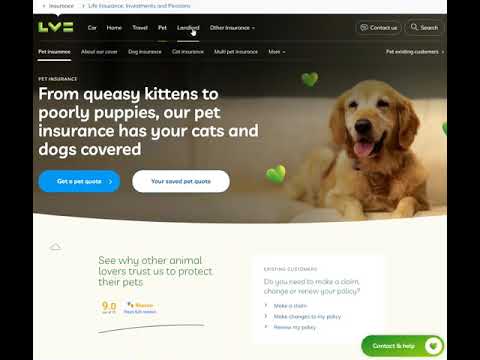 Insurance website: CMS development and support